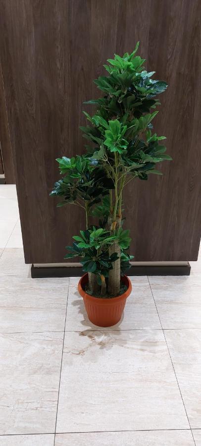 همم للوحدات السكنية - الرحيلي Jeddah Al Kura Extérieur photo
